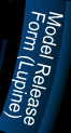MRF - Lupine